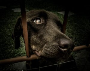 DVの証拠を採用する弁護士はどのように選ぶべきか？