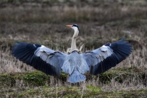 婚姻費用の請求は離婚時にどのように行うべきか？