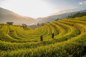 法テラスで離婚相談を無料で受ける方法は？