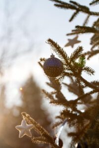 離婚弁護士による無料相談の内容限定とは？