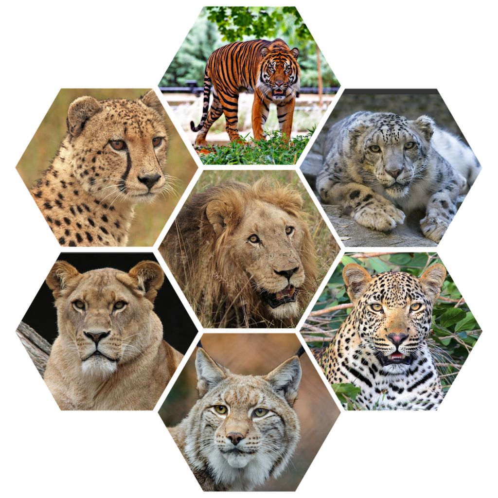 悪質サービスの見分け方はどうすればいいの？