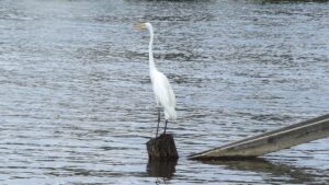 離婚弁護士はどこまでサポートしてくれるのか？