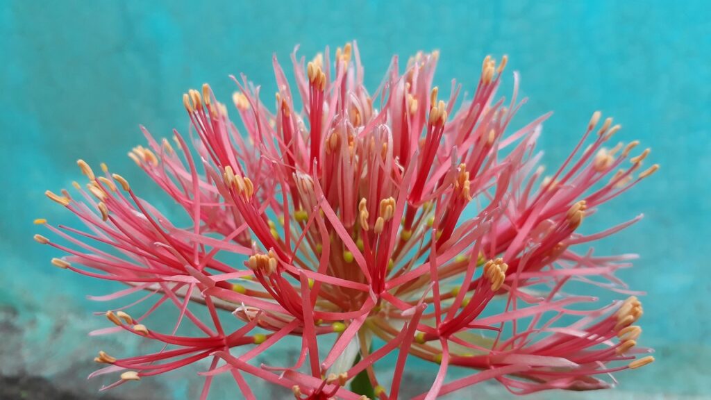 面会を通じて効果的に交流し、相談する方法は？