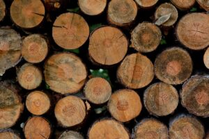 DV被害に関する相談はどこにすればいいの？